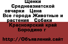 Щенки Среднеазиатской овчарки › Цена ­ 30 000 - Все города Животные и растения » Собаки   . Красноярский край,Бородино г.